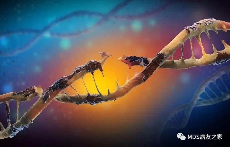 9909990藏宝阁凤凰网站木什么动物